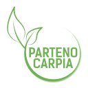 Parthenocarpy