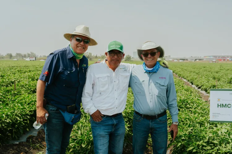 Tres hombres de frente sonriendo en campo de chiles